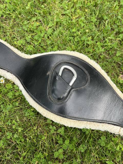 Sangle mouton canter 