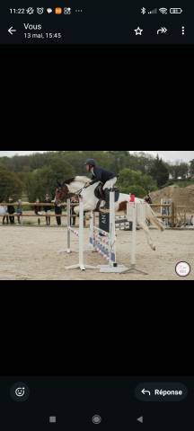Pie 4 ans cso