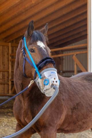 Masque nébulisation avec accessoires Air One - Hippomed