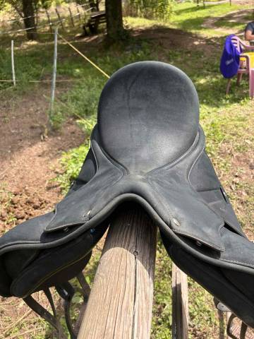 Selle Isabell Werth 17' - 2023