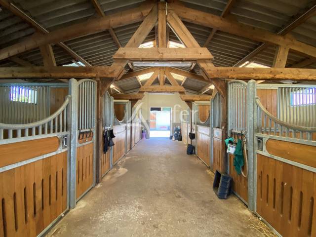 Haras pays d'auge 24 hectares