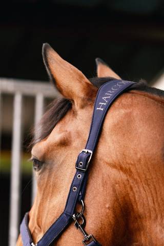 Licol Hansy avec longe - Harcour - nylon