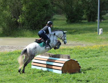 Recrute ENSEIGNANT(E)S equitation Toulouse (31)