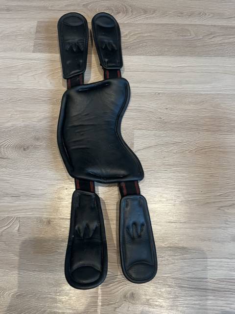 Sangle courte de dressage Spider - ERREPLUS