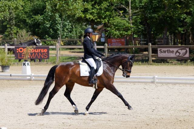 SF 5 ans Dressage 