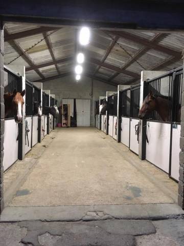 Pensions box-paddock • travail • pré • retraite