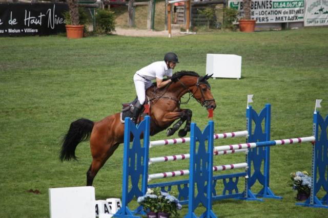Soigneur et entretien propriété - Haras CSO Calvados