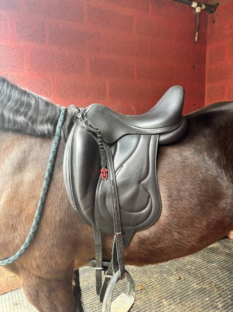 Selle Antares 