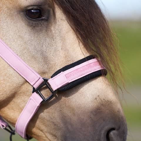 Licol jewel mesh - Imperial riding - élégance et confort