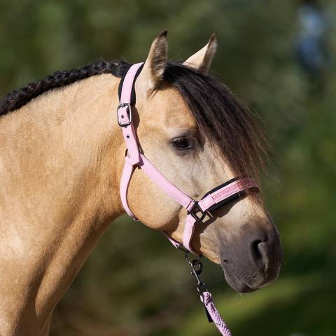 Licol jewel mesh - Imperial riding - élégance et confort