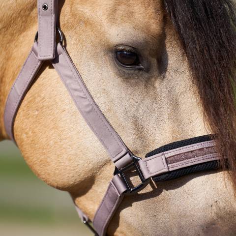 Licol jewel mesh - Imperial riding - élégance et confort