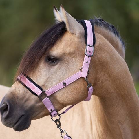 Licol jewel mesh - Imperial riding - élégance et confort