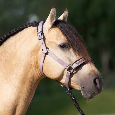 Licol jewel mesh - Imperial riding - élégance et confort