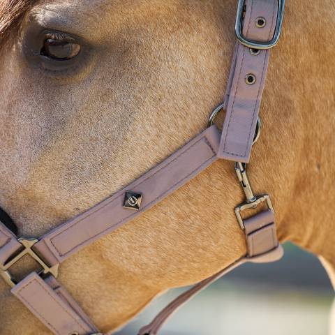 Licol jewel mesh - Imperial riding - élégance et confort