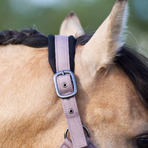 Licol jewel mesh - Imperial riding - élégance et confort