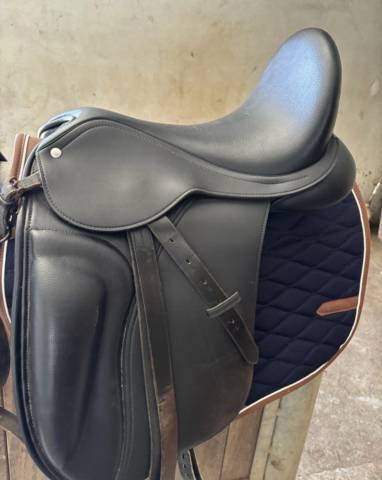 Lexys dressage taille 15 qui taille grand *