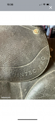 Selle Wintec dressage série limitée 