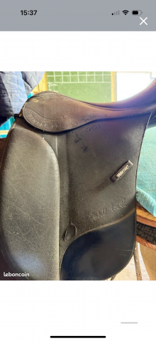 Selle Wintec dressage série limitée 