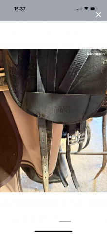 Selle Wintec dressage série limitée 