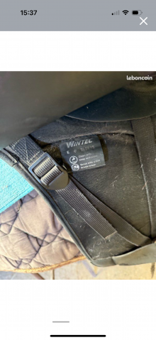 Selle Wintec dressage série limitée 