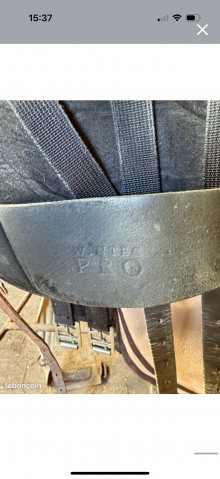 Selle Wintec dressage série limitée 