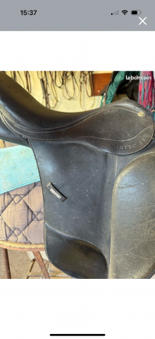 Selle Wintec dressage série limitée 