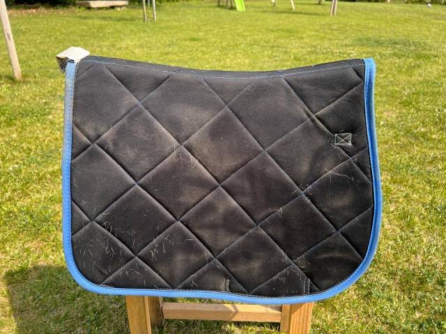 Tapis CSO Harry Horse bleu
