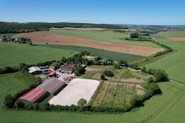 Très belle ecurie de commerce à 10 kms de sens
