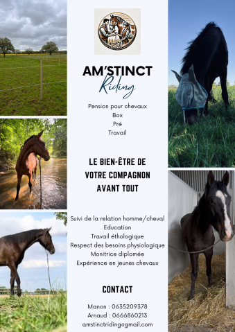 Pension familiale - Am'stinct Riding 28160 Dampierre sous brou