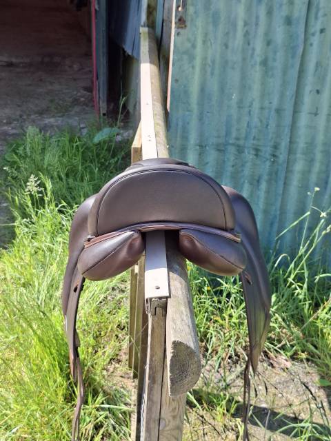 Selle de dressage 