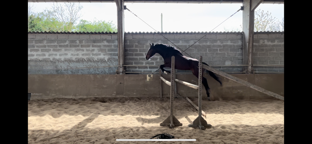 À vendre 