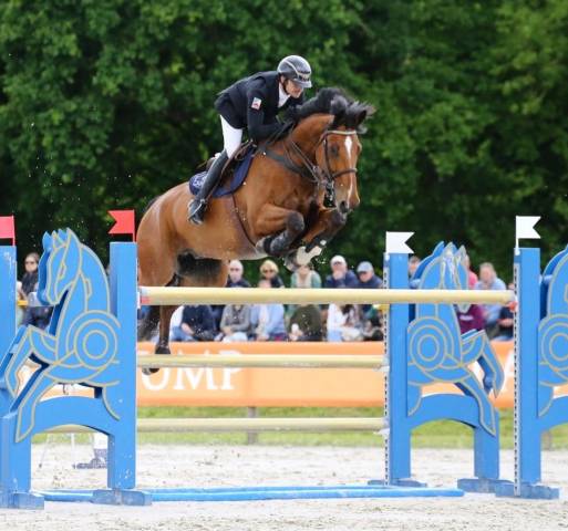Cheval CSO idéal cadet et junior 