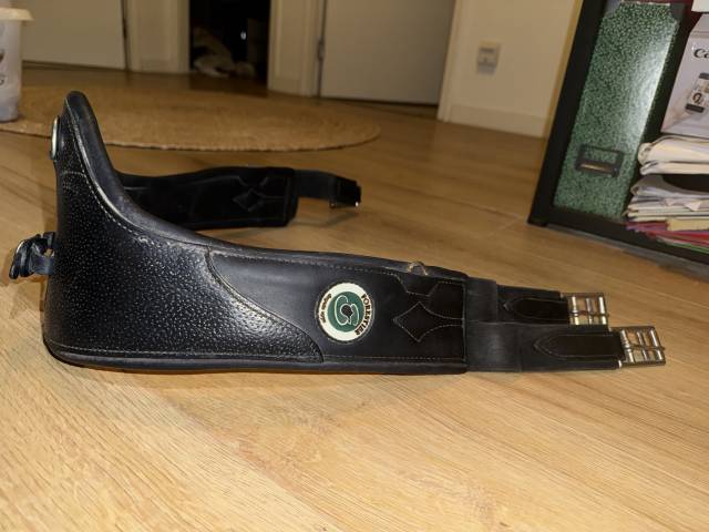 À vendre – Selle Forestier Club Junior 16” + accessoire