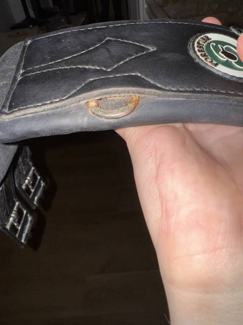 À vendre – Selle Forestier Club Junior 16” + accessoire