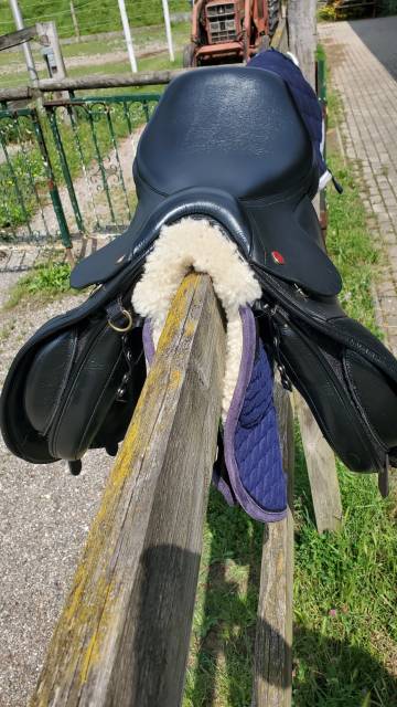 Selle mixte Kent Masters cob