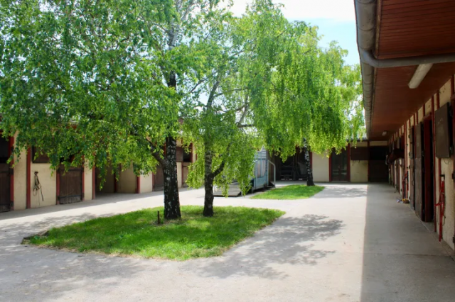 Ecurie située à 10 mn de saint jean d'angely (17)