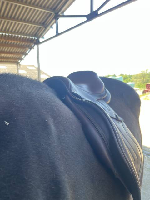 Selle CWD SE02 17" 2016 