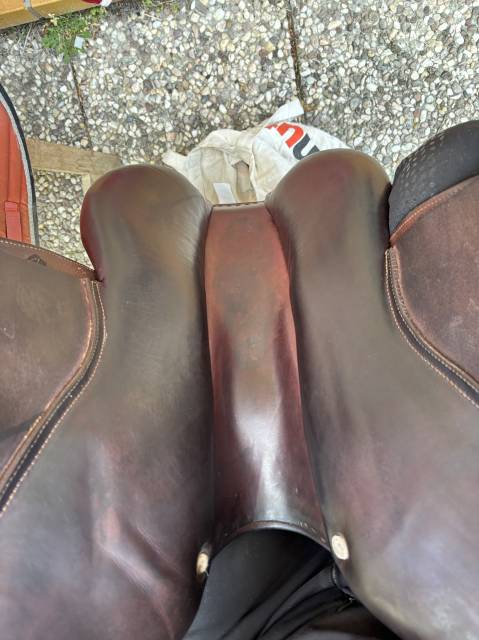 Selle CWD SE02 17" 2016 