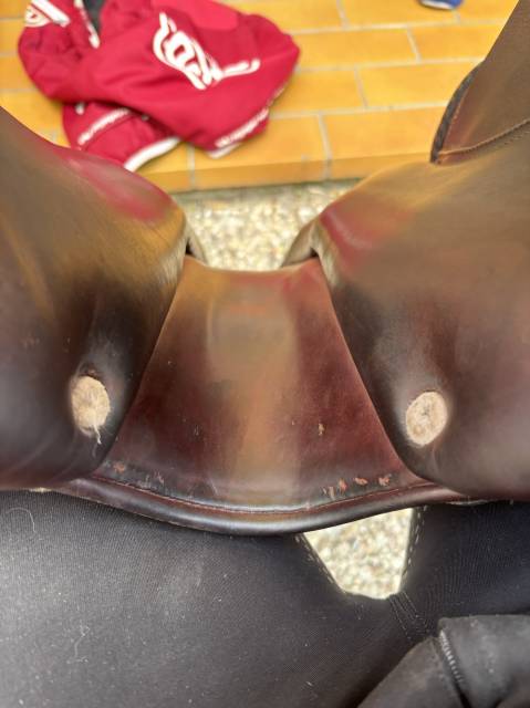 Selle CWD SE02 17" 2016 