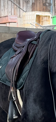 Selle CWD SE02 17" 2016 