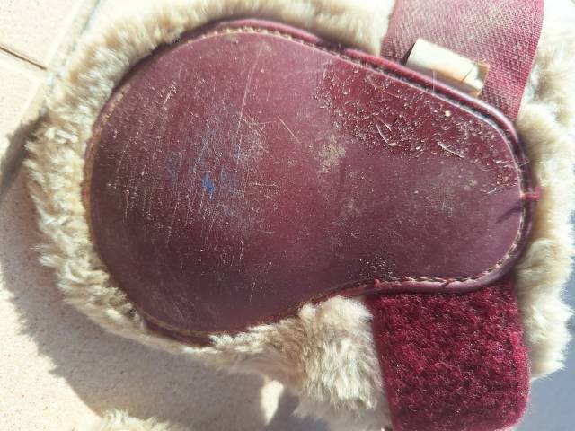 Ensemble guêtres +  protèges boulet