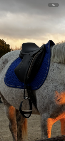 selle norton pro jump