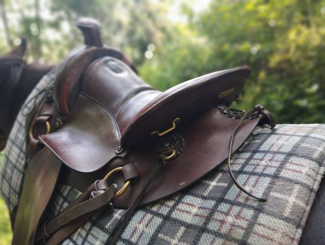 Selle de randonnée cathare type mac lellan 