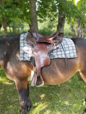 Selle de randonnée cathare type mac lellan 