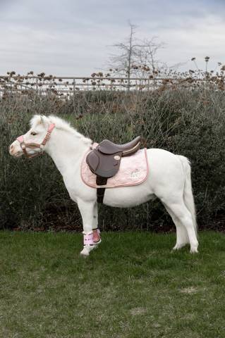 Tapis de Selle Licorne Pailleté - Mixte - Kentucky