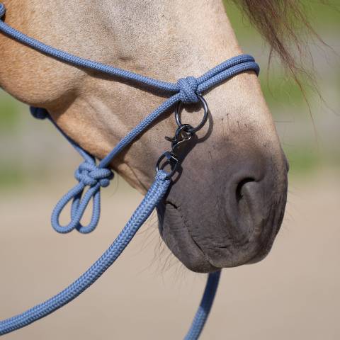 Licol en corde free ride - imperial riding - ethologique