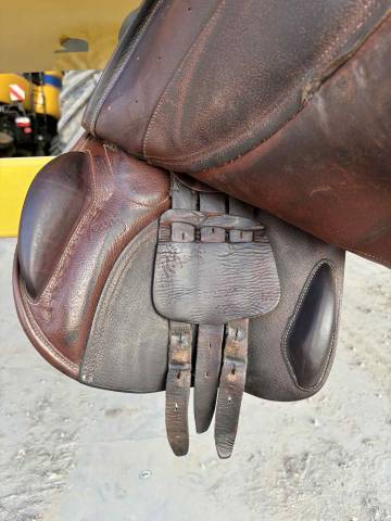 Selle Pessoa - Gen-X Elite