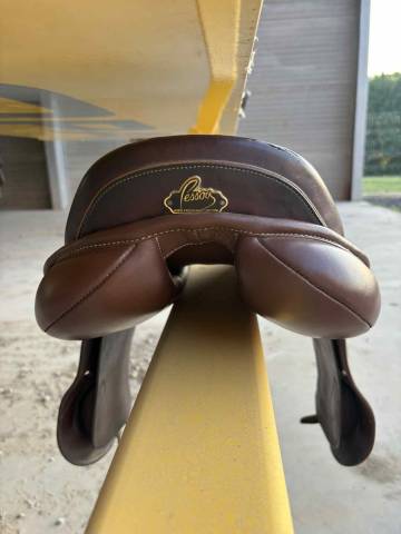 Selle Pessoa - Gen-X Elite