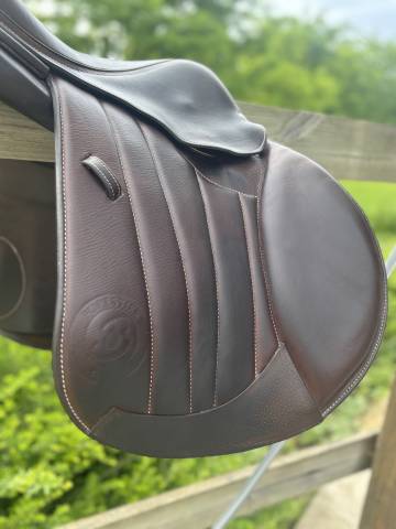 Selle forestier saoul 