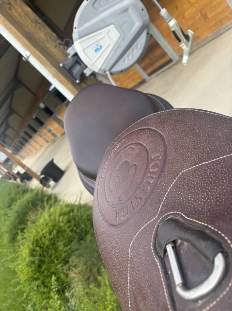 Selle forestier saoul 